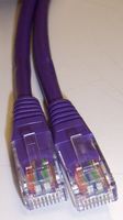 PSG90951